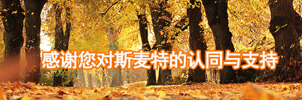 無(wú)桿氣缸 無(wú)桿氣缸