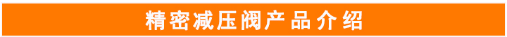精密減壓閥 精密減壓閥