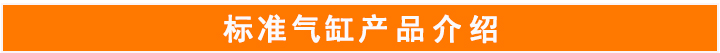 標準氣缸 標準氣缸